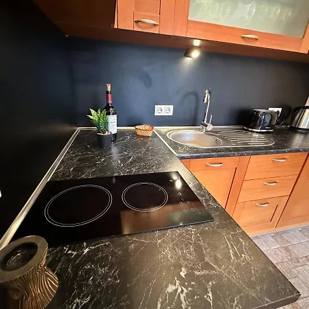 Bright Mountain View Penthouse - 300mbps Wi-fi Apartment Bansko