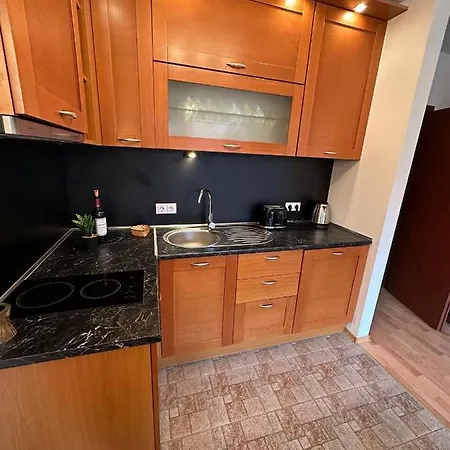 Apartment Bright Mountain View Penthouse - 300mbps Wi-fi Bansko