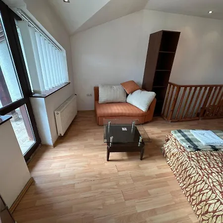 Bright Mountain View Penthouse - 300mbps Wi-fi Apartment Bansko