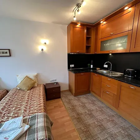 Bright Mountain View Penthouse - 300mbps Wi-fi Bansko